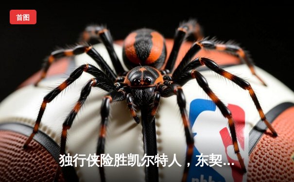 独行侠险胜凯尔特人，东契奇三双率队总决赛扳平比分